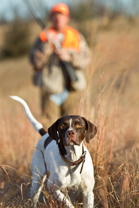 Hunting Jobs and Shooting Sports Jobs, Industry Resources and Career Resources